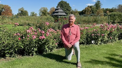 Mann in rosa Hemd vor einer Reihe von rosa blühenden Rosensträuchern im Rosengaren von Schloss Esterházy in Fertöd.