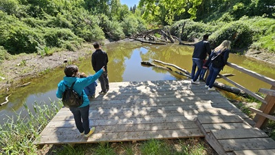 Familie auf den Beobachtungsstationen der Schlossinsel auf einem Steg in die Donau-Auen blickend.