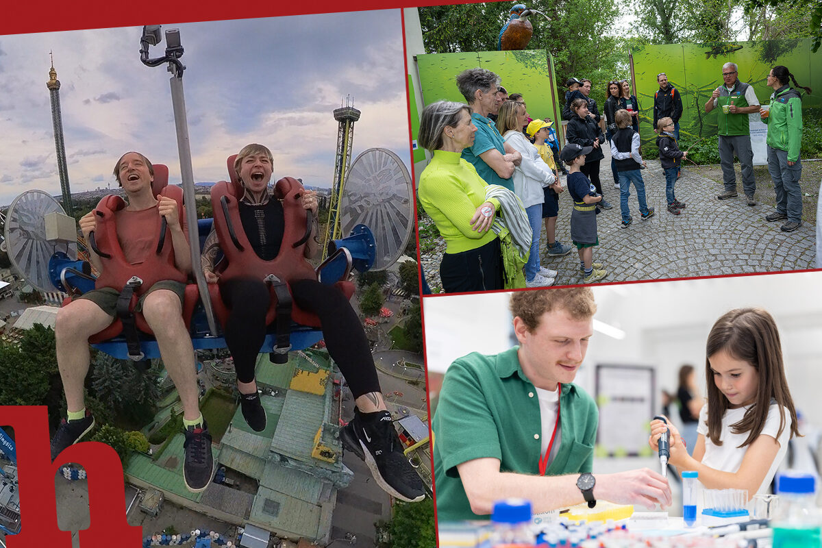 Frühling-Events 2026 in Wien, NÖ und im Burgenland: 10 Top-Tipps!