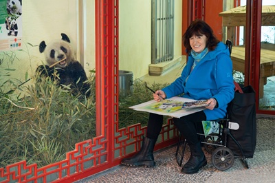 Panda in Schönbrunn frisst, vor dem Gehege malt Margit König auf einem Stockerl sitzend.