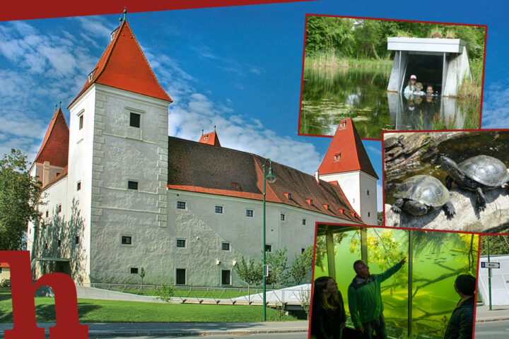 Gewinn Familien-Saisonkarte für Tiererlebnis im Schloss Orth