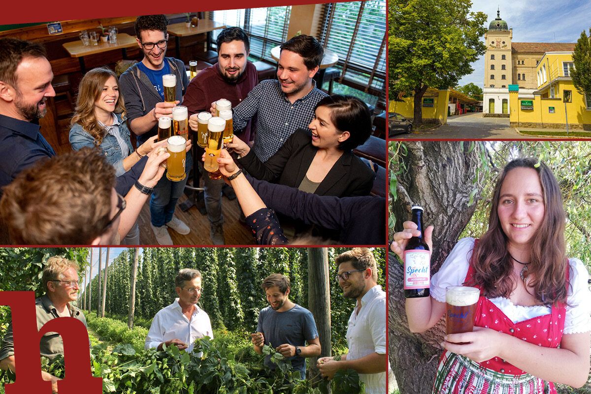 11 tolle Brauereien in Niederösterreich – wo du was verkosten kannst