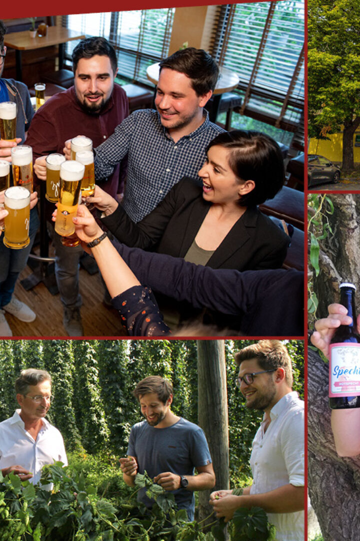 11 tolle Brauereien in Niederösterreich – wo du was verkosten kannst