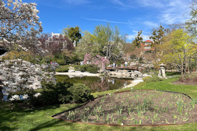 beete, magnolienbaum und Teich im setagayapark