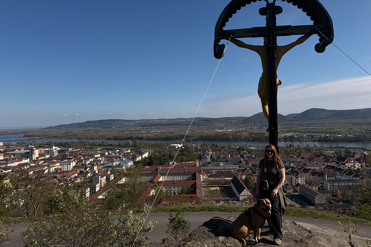 Wandern in Krems: So schön ist die Wachau von oben