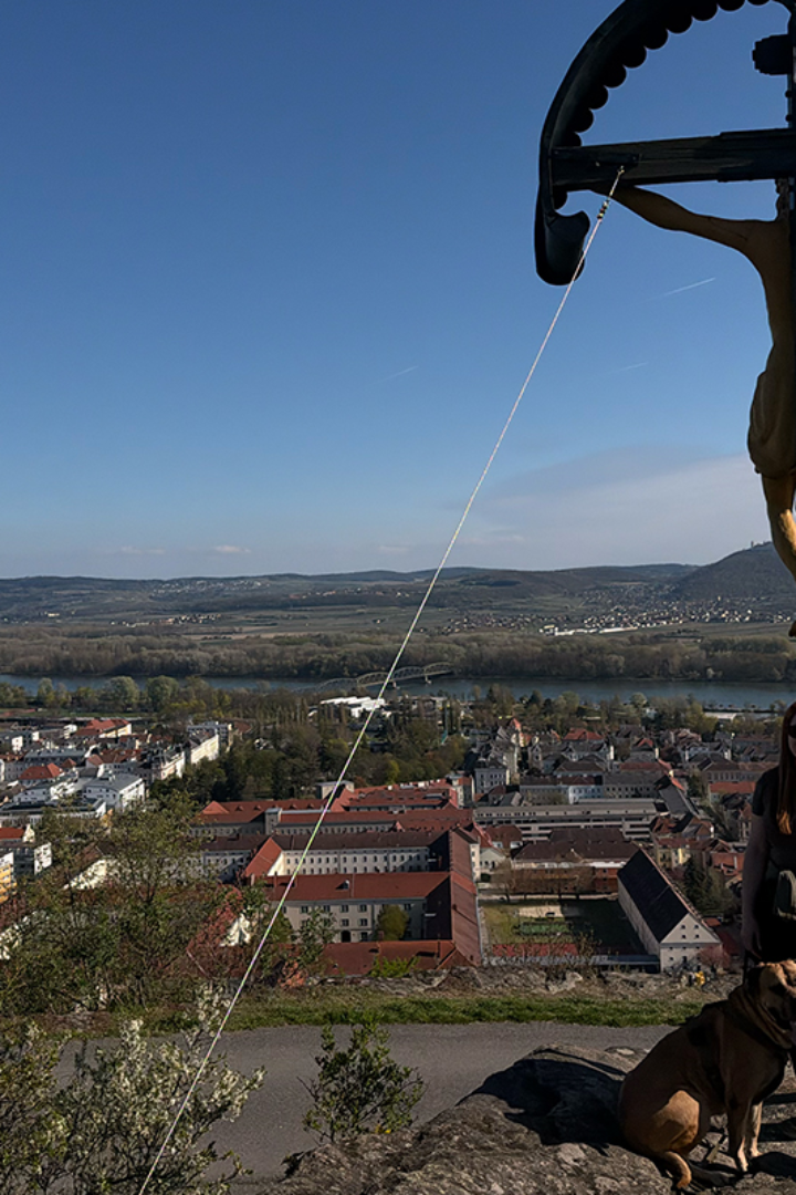 Wandern in Krems: So schön ist die Wachau von oben