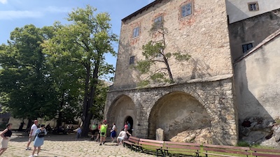 Äußerer Burghof von Burg Buchlov mit einer Kiefer, die aus einer Außenwand herauswächst.
