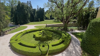 Eine präzise geometrisch zu einem Muster geschnittene niedrige, runde Hecke.