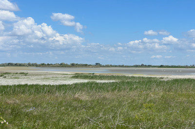 sodalacke und wiese