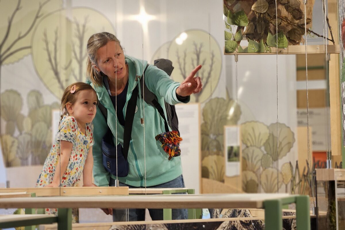 Donau-Auen Ausstellung: Im Fluss bleibt kein Stein auf dem anderen