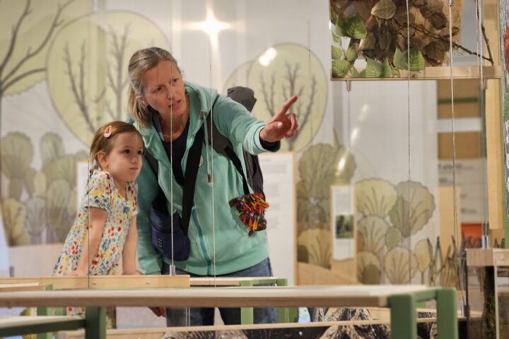 Donau-Auen Ausstellung: Im Fluss bleibt kein Stein auf dem anderen