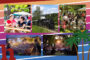 Sommer-Events 2026: 12 Top-Tipps für Wien, NÖ und Burgenland