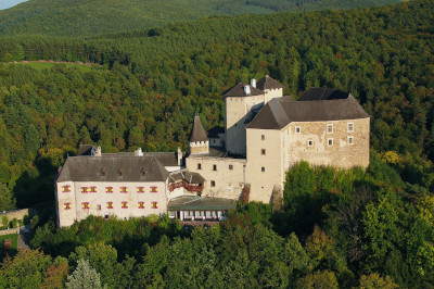 burg Lockenhaus mitten im Wald mit braunen Dächern