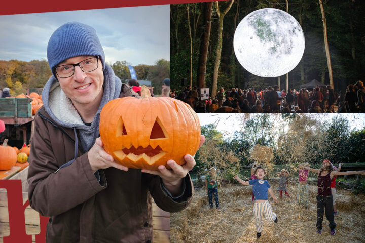 Herbst-Events 2026: Die schönsten in Wien, NÖ und im Burgenland