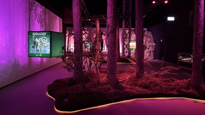 Künstlicher Wald und Touchscreens in der Immersive Vikings Experience